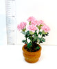 6 PINK/YELLOW CHRYSANTHEMUM  handmade plant 12th scale dolls house flowers