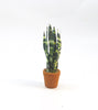 SANSEVERIA  'Mother in Laws Tongues Foliage Plant 1:12 OOAK