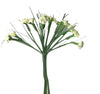 DIY CREAM/WHITE ACHILLEA bunch of flowers
