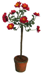 FLOWER KIT Red Rose of Lancaster standard rose