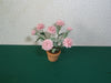 PINK  DAHLIA KIT 'semi cactus' 24TH scale