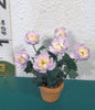24th PEONY FLOWER KIT 'Cora Stubbs'