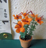 24TH Orange ASIATIC LILIES flower kit