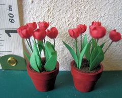 24th RED TULIPS Flower Kit 