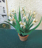 24th WHITE IRIS flower kit dollhouse accessories