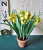 24th YELLOW IRIS Flower Kit