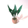 ASPIDISTRA Dolls House Foliage Plant 1:12