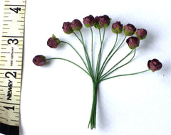 DIY BURGUNDY PEONY/ROSEBUDS