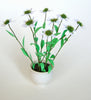 ECHINACEA [White] Flower Kit 12th