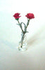 2 red CARNATIONS glass VASE Hand crafted flowers 12th scale SALE