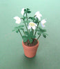 Flower Kit White HELLEBORE  12th Scale