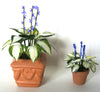 TINY HOSTA 12th or 24th scale