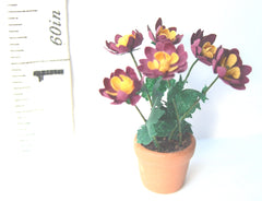 24th BURGUNDY PEONY Flower Kit