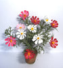 COSMOS [mixed] Flower Kit 12th