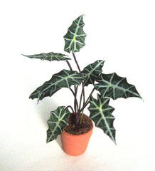 PLANT 'ELEPHANT'S EARS' handmade miniature