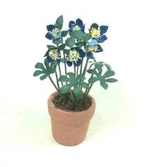 Flower KIT  12 Blue HELLEBORES 12th Scale