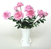 FLOWER KIT Standard Pink Heritage Rose  'Maiden's Blush' 12th