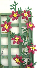 CLEMATIS 'Niobe' Dolls House Flowers Kit 12th