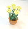 6 PINK/YELLOW CHRYSANTHEMUM  handmade plant 12th scale dolls house flowers