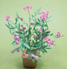 Flower kit OLEANDER Bush Deep Pink miniature flower 12th scale