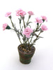Flower Kit CARNATIONS Red/Pink 12th scale