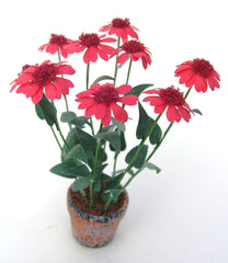 ECHINACEA Red/Yellow/white FLOWER KIT  12th scale