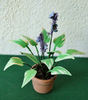 FLOWER KIT SMALL HOSTA 12th scale