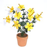 HIBISCUS [yellow] Flower Kit 12th