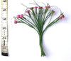 DIY Deep pink ACHILLEA  bunch of flowers