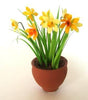 Miniature Flower Kit DAFFODILS Dolls house plant 12TH