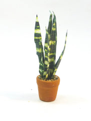 SANSEVERIA  'Mother in Laws Tongues Foliage Plant 1:12 OOAK