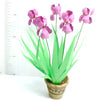 FLOWER KIT MAGENTA Bearded IRIS 12th scale