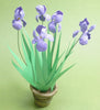 FLOWER KIT PURPLE Bearded IRIS 12th scale