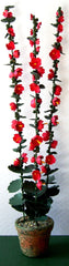 RED HOLLYHOCKS Flower kit 12th