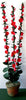 RED HOLLYHOCKS Flower kit 12th
