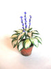 Flower KIT Large HOSTA Miniature 12th scale