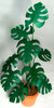 Flower KIT Medium Cheese Plant miniature 12th scale