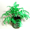 Flower KIT Large Delicate FERN 12th scale