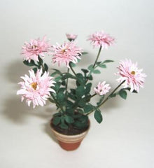 PINK DAHLIA KIT 'semi cactus' 12th scale