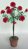 FLOWER KIT Standard Red Heritage Rose  12th scale