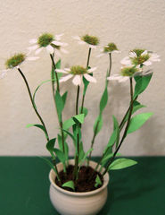 FLOWER KIT -WHITE ECHINACEA  12th scale