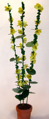 YELLOW HOLLYHOCKS Flower kit 12th